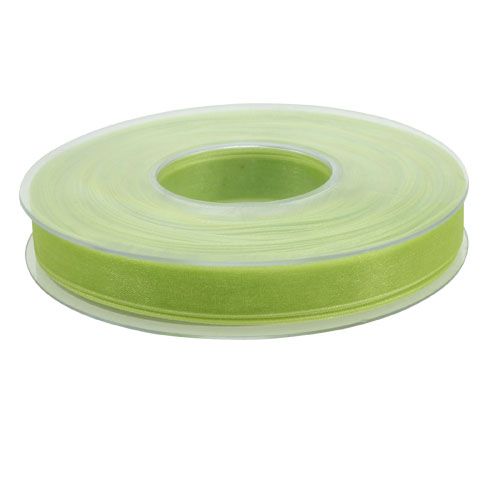Floristik24 Organza ribbon in light green 15mm 50m