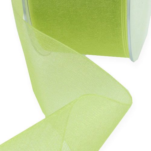 Floristik24 Organza ribbon with selvedge 4cm 50m light green