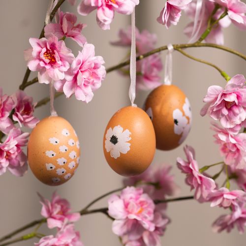 Product Easter egg hanging decoration, spring, Easter, real chicken eggs, natural, 6cm, 6 pieces