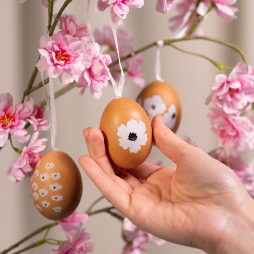 Product Easter egg hanging decoration, spring, Easter, real chicken eggs, natural, 6cm, 6 pieces