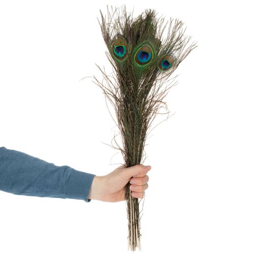 Product Peacock feathers, real bird feathers for crafting and decorating, 55cm, 10 pieces