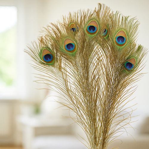 Product Peacock feather decoration, real bird feathers, long 75-85cm, 8 pieces