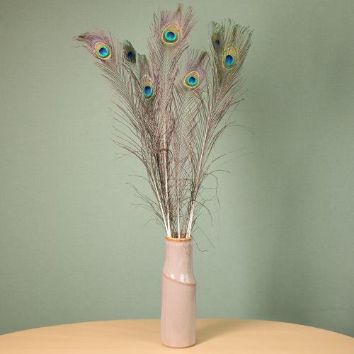 Product Peacock feathers decoration real bird feathers long 75-85cm 8 pieces