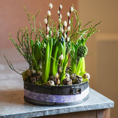 Floristik24 Planter, decorative baking pan, springform pan for planting, metal decoration Ø24cm H7.5cm