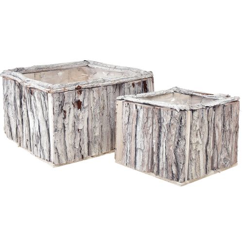 Floristik24 Planter Wood with Bark Natural White 17/24cm Set of 2
