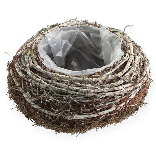 Floristik24 Planter bowl Ø18cm