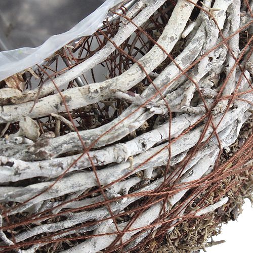 Floristik24 Planter bowl Ø18cm