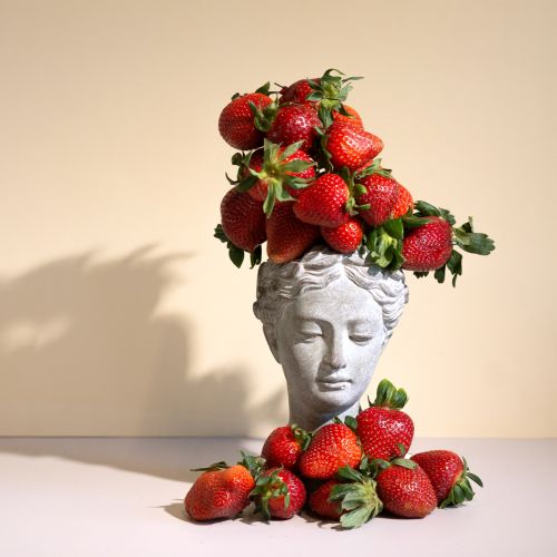 Plant head bust grey-blue Ø8cm H15cm