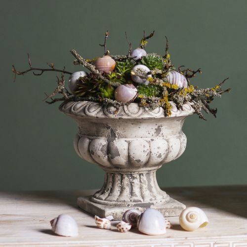 Floristik24 Plant bowl small plant pot trophy antique concrete Ø15cm H13cm