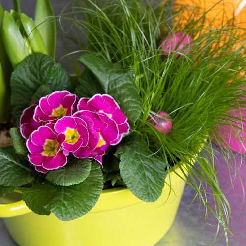 Product Sheet metal planter, spring decoration for the living room, 25cm, 3 pieces