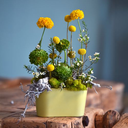 Product Plant bowl oval yellow decorative bowl plastic 20×10×11cm 3pcs