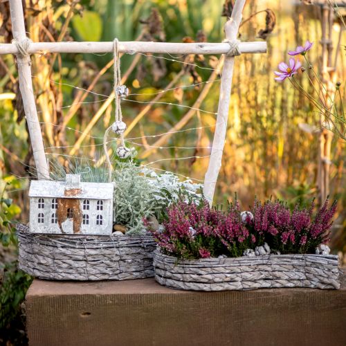 Floristik24 Plant bowl, planter gray 48.5/31.5cm set of 2