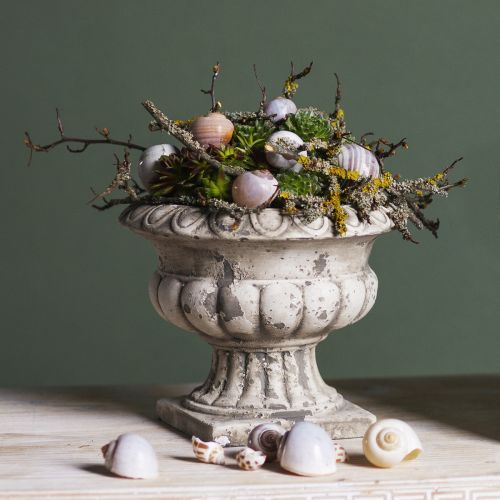 Floristik24 Plant Bowl Planter Cup Antique Concrete Ø20cm H16.5cm