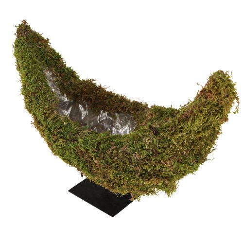 Product Moss decorative planter, crescent shape with metal base, natural decoration for living space &amp; celebrations, 40×15×30cm