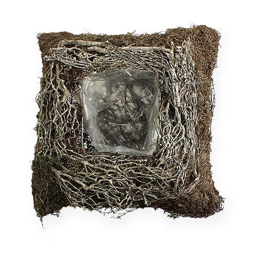 Floristik24 Square planter bowl 20cm x 20cm