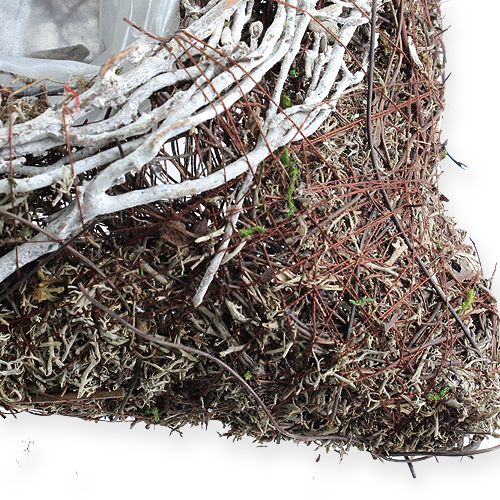 Floristik24 Square planter bowl 20cm x 20cm