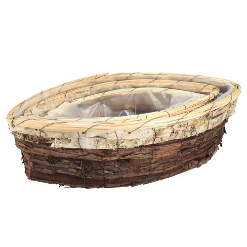 Floristik24 Plant boats wood bark 3-coloured 33.5/40/48cm set of 3