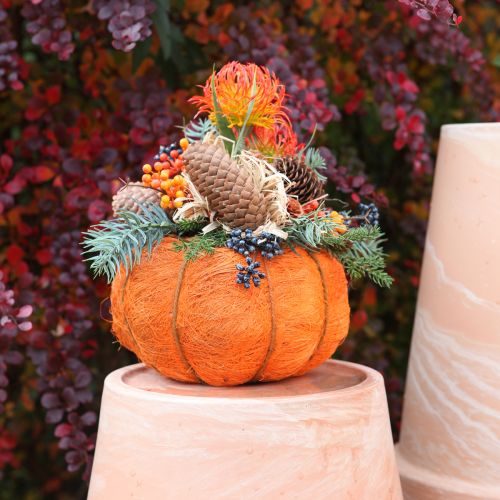 Product Plant pot pumpkin decoration orange/yellow-green sisal Ø21cm H12cm