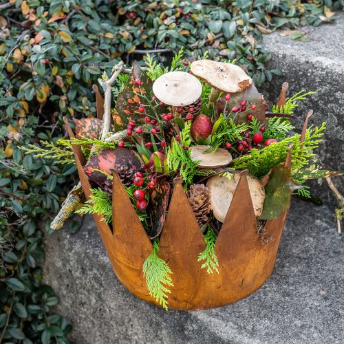 Floristik24 Plant pot rust decorative bowl metal decorative crown vintage Ø30cm