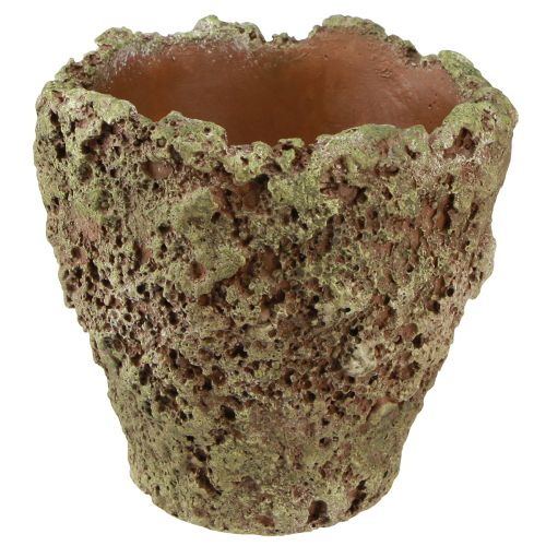 Plant pot rustic planter moss look Ø17cm H16.5cm