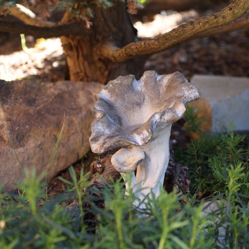 Floristik24 Mushroom decoration cast stone figure garden decoration gray 18×16×25cm