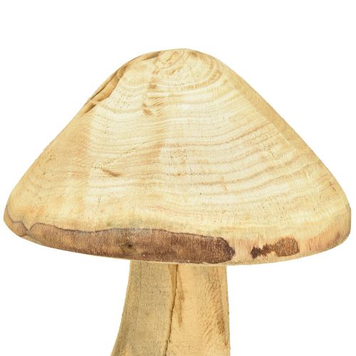 Floristik24 Natural decorative mushroom made of elm wood wooden mushroom 27cm