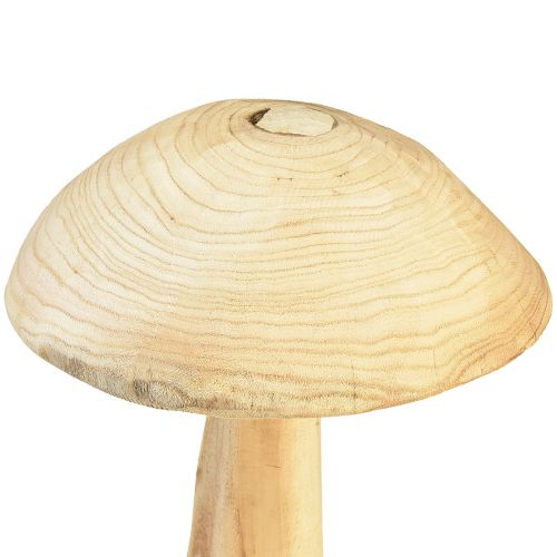 Floristik24 Natural mushroom sculpture made of elm wood – Rustic design, 37 cm – Stylish garden and interior decoration