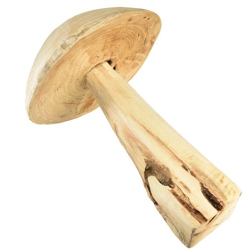 Floristik24 Natural mushroom sculpture made of elm wood – Rustic design, 37 cm – Stylish garden and interior decoration