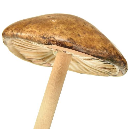 Floristik24 Decorative mushrooms on stick, brown 5.5cm - autumnal garden and living room decoration - 6 pieces