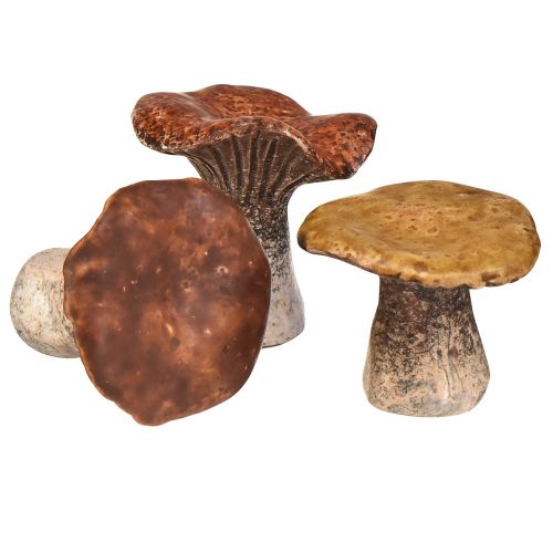Product Nature-inspired mushroom decorations – various shades of brown, 6.4 cm – charming accents for garden and home 3 pieces