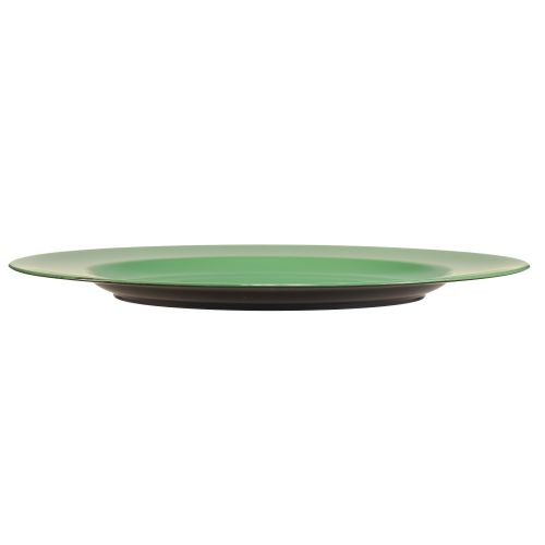 Product Robust green plastic plate – 28 cm, perfect for everyday decoration and outdoor activities – 4 pieces