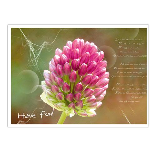 Floristik24 Postcards with floral motifs sort. 4pcs