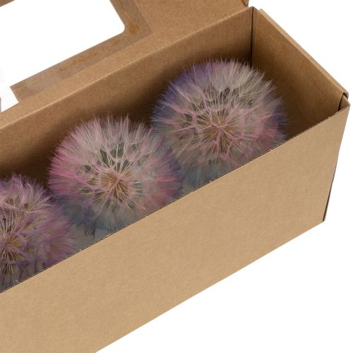 Product Dandelion decoration, dried flower, stabilized and dyed, delicate, durable, 12cm, 4 pieces