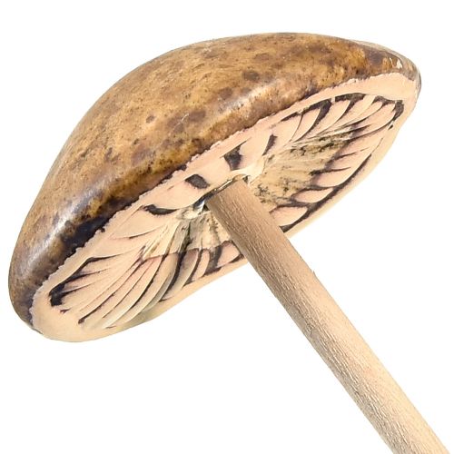 Floristik24 Rustic ceramic mushrooms on a stick – atmospheric autumn decoration 4cm 6 pcs