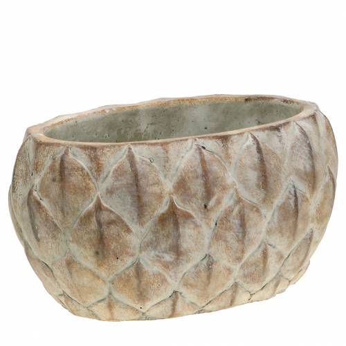 Floristik24 Planter concrete leaf motif oval 23 cm