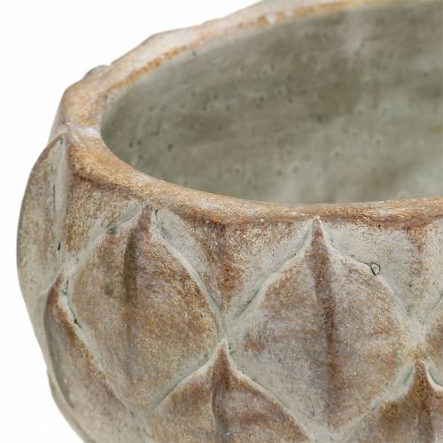 Floristik24 Planter concrete leaf motif oval 23 cm