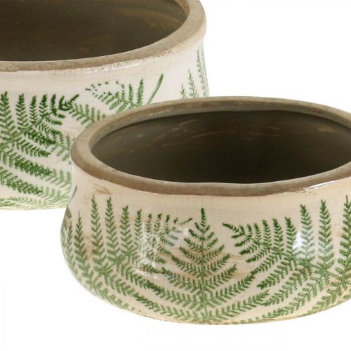 Floristik24 Plant bowl fern earthenware planter round ceramic Ø14/18cm set of 2