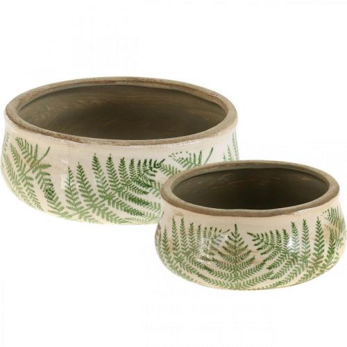 Floristik24 Plant bowl fern earthenware planter round ceramic Ø14/18cm set of 2