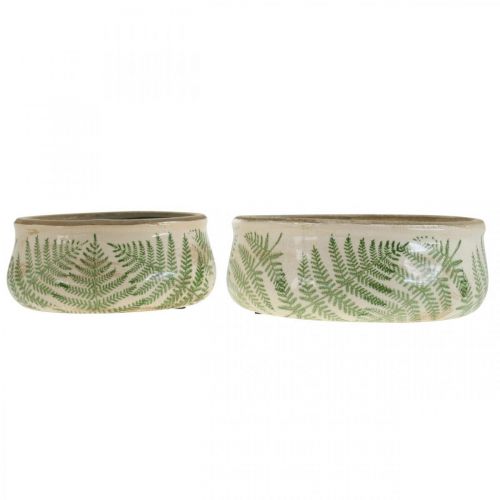 Floristik24 Plant bowl fern earthenware planter round ceramic Ø14/18cm set of 2