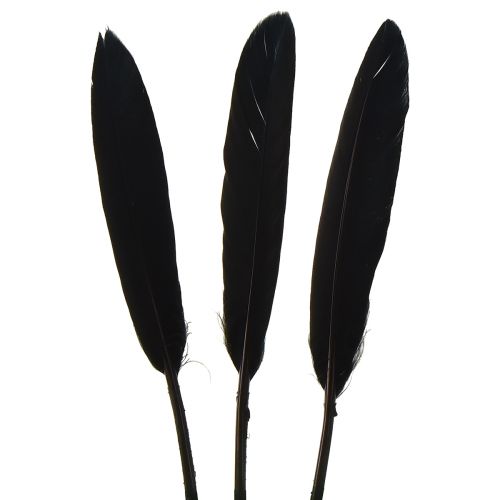 Product Black feathers decoration goose feathers black 11-14cm 180 pcs