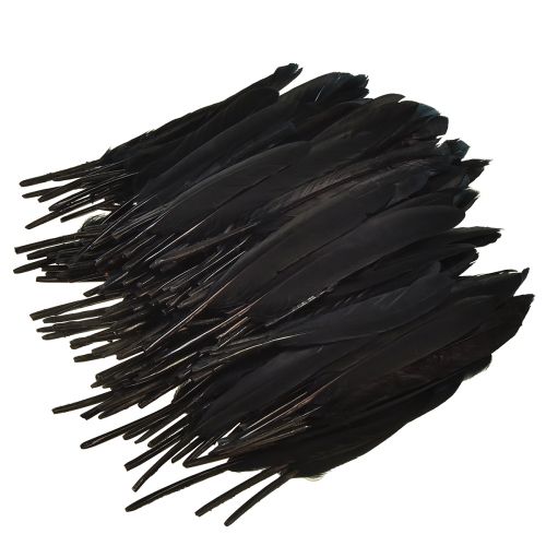 Product Black feathers decoration goose feathers black 11-14cm 180 pcs