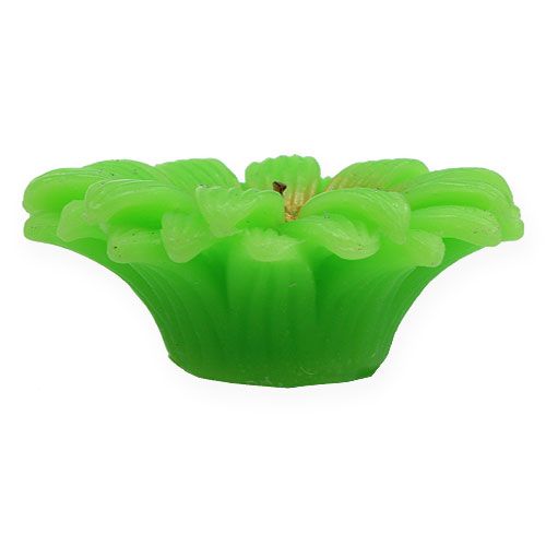 Floristik24 Floating candle gerbera green Ø7.5cm