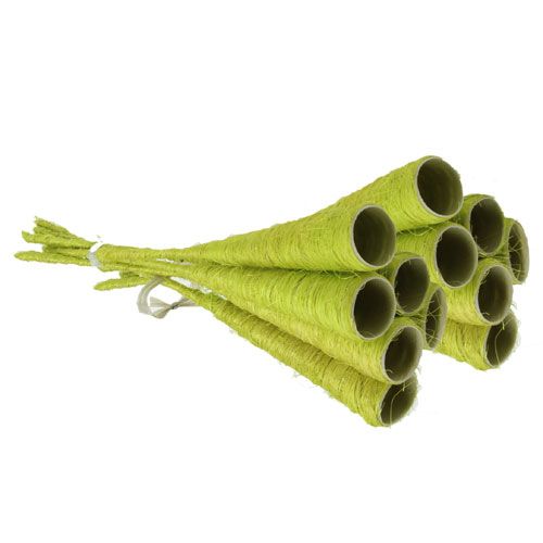 Floristik24 Sisal funnel light green Ø3cm L30cm 12pcs