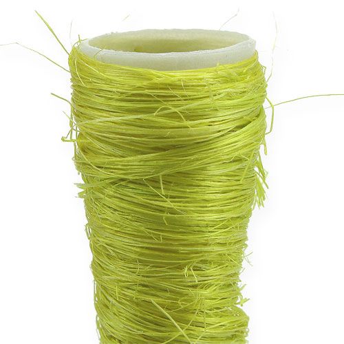 Product Sisal pointed vase light green Ø3.5cm L40cm 5pcs