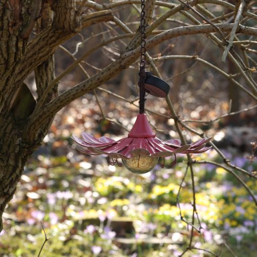 Product Solar LED Flower Garden Light LED Metal Pink Ø30cm