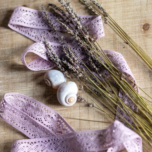 Product Lace ribbon purple decorative ribbon Flower Spring W18mm L20m