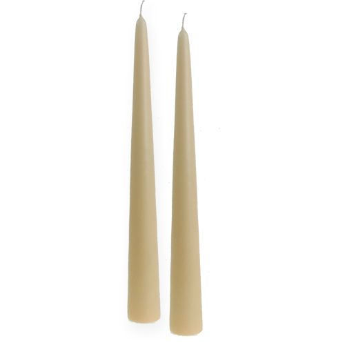 Floristik24 Pointed candle 300/40 cream 8pcs