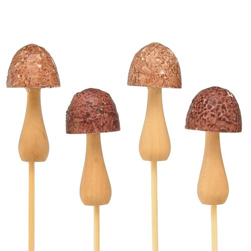 Product Flower plug mushroom decoration plug wood brown Ø2.5cm 8 pcs