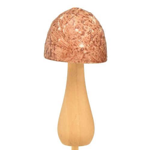 Product Flower plug mushroom decoration plug wood brown Ø2.5cm 8 pcs