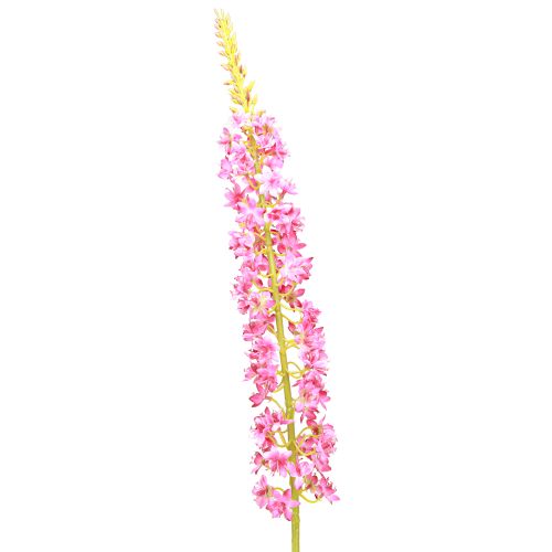 Product Steppe candle Desert Tail Pink 106cm